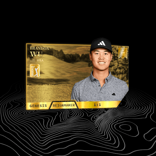 brandon wu pga tour card